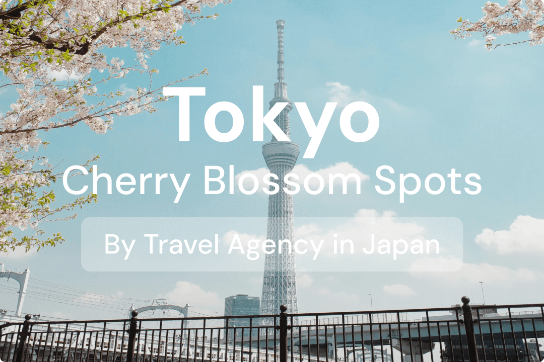 Top 9 Spots in Tokyo for Cherry Blossom Viewing