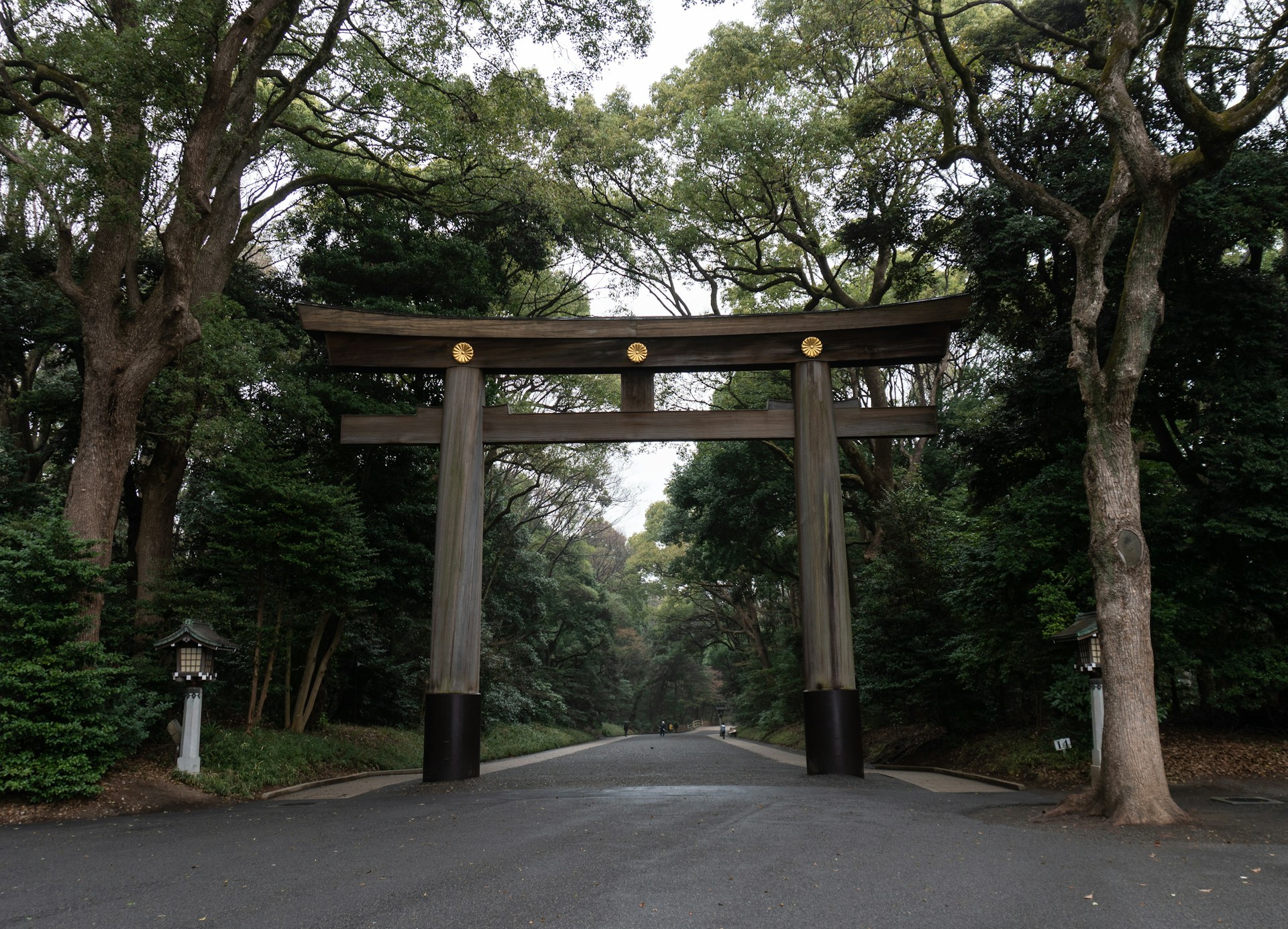 yoyogi park