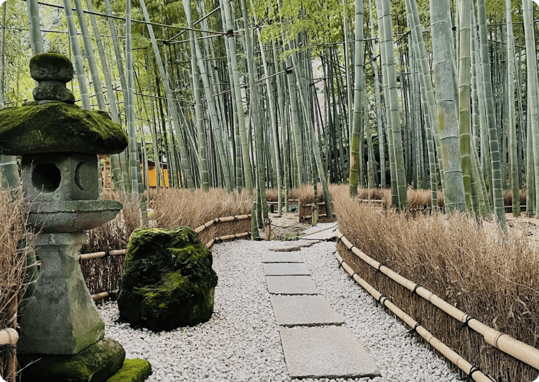 Bamboo Grove at Hokokuji Temple