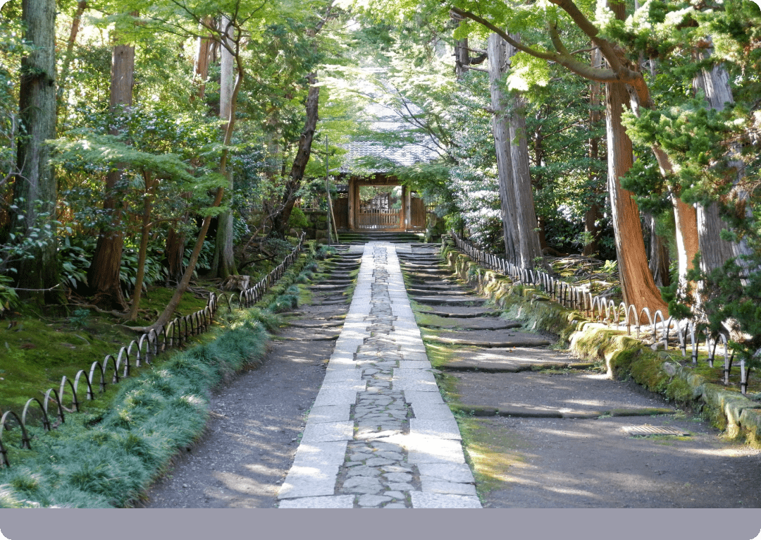 Hiking Trails of Kamakura