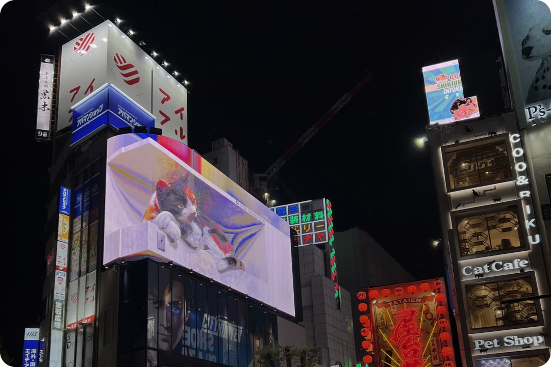 Shinjuku Cat Screen