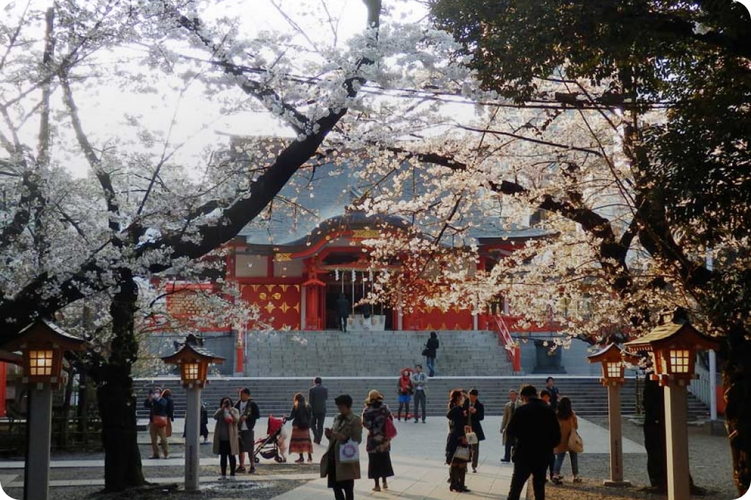 Hanazono Shrine 