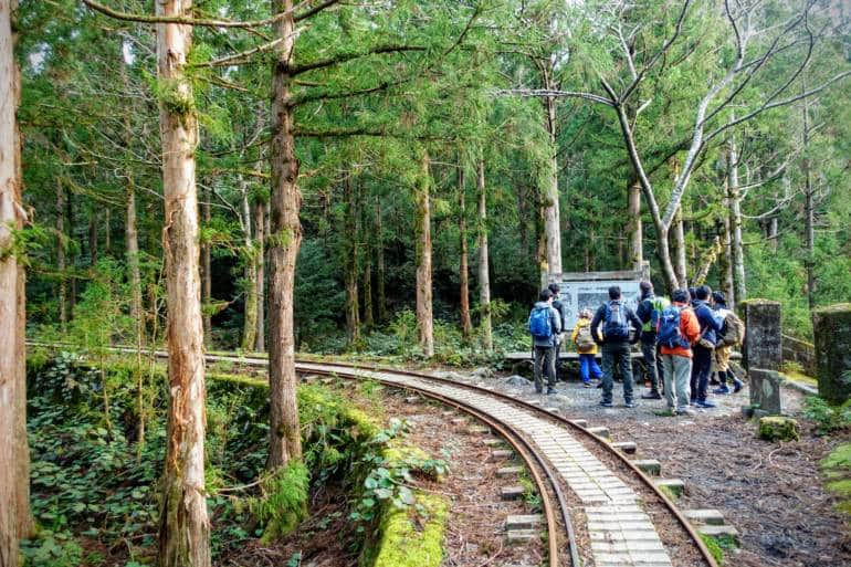 Yakushima Forest Railway