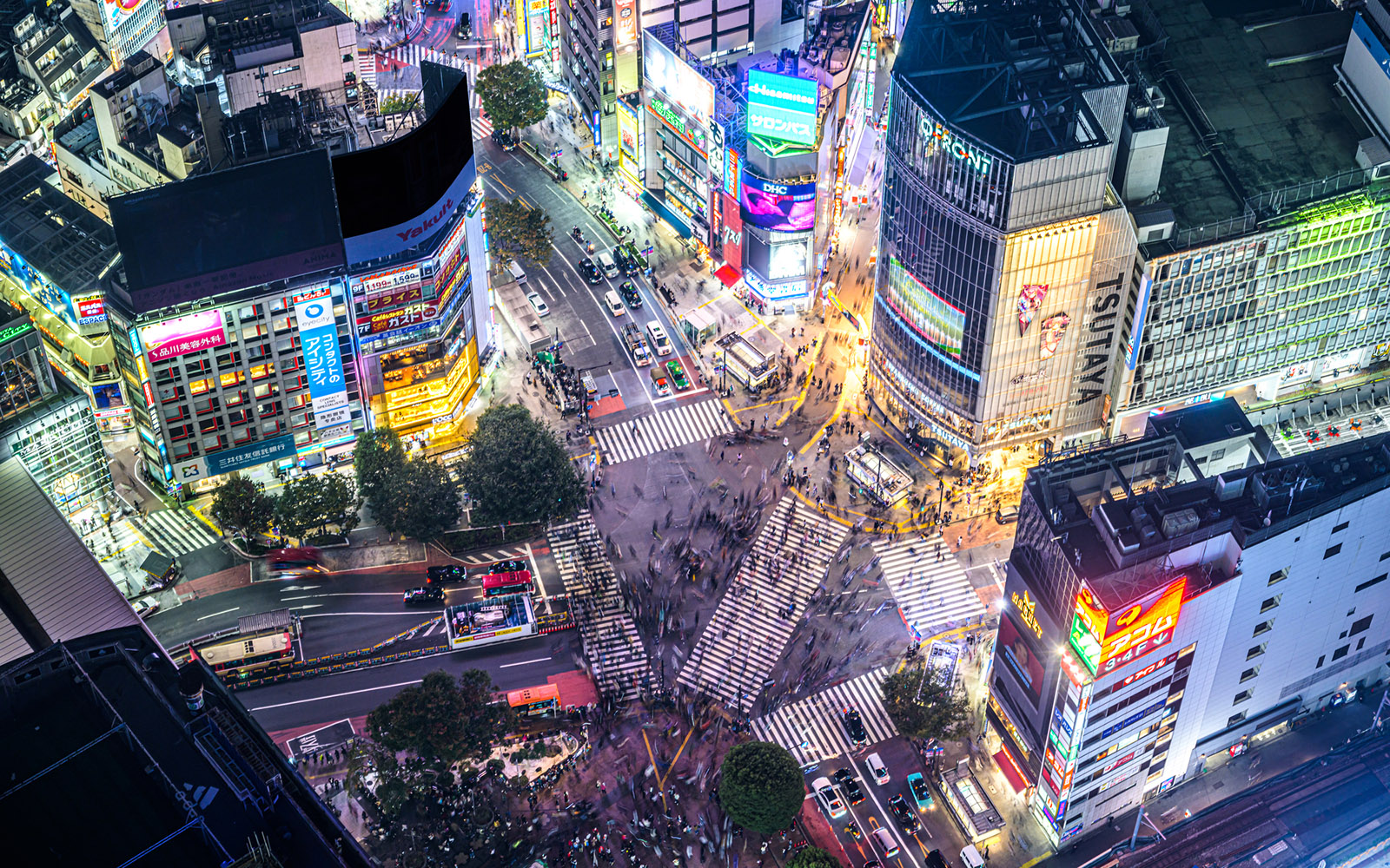 Where to See the Best Views of Shibuya Scramble Crossing - GaijinPot