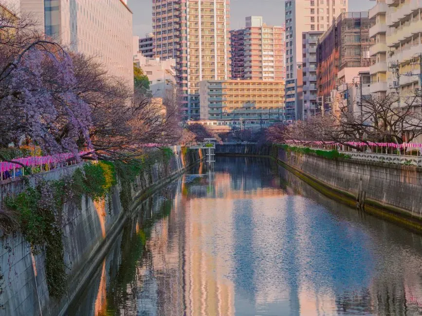 Naka Meguro canal autumn