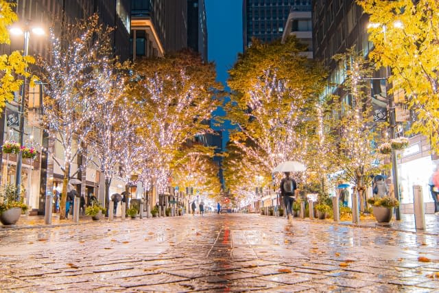 Tree-lined Marunouchi Naka-dori illuminated with champagne gold lights at dusk