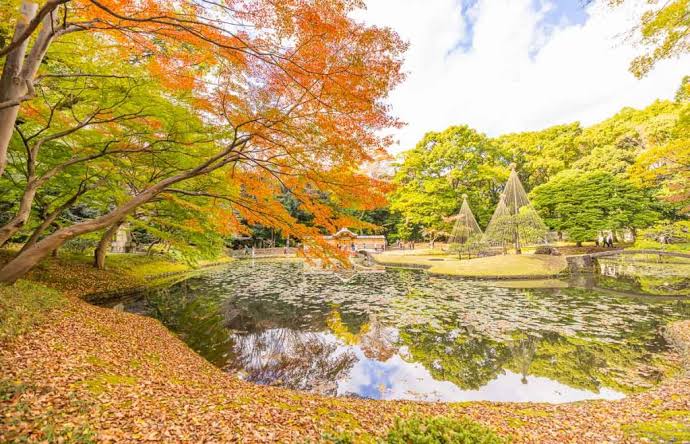 Autumn maples framing the stone Full Moon Bridge at Koishikawa Korakuen