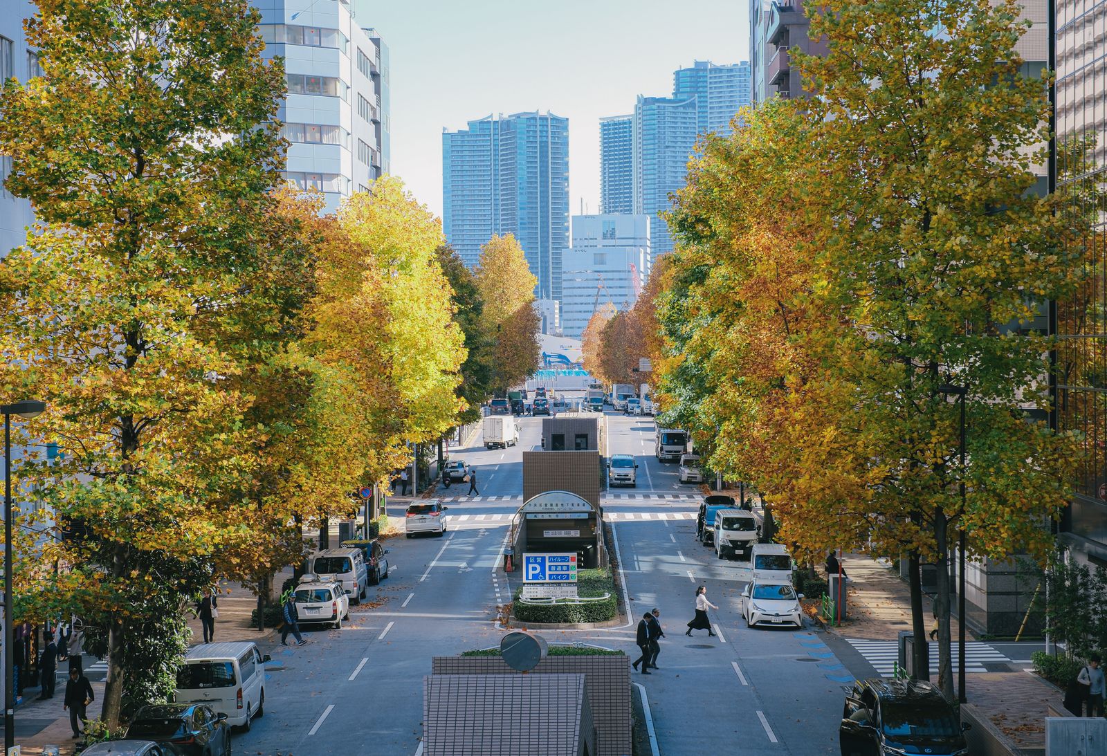 Tokyo Events November 2026: Festivals, Foliage & Lights