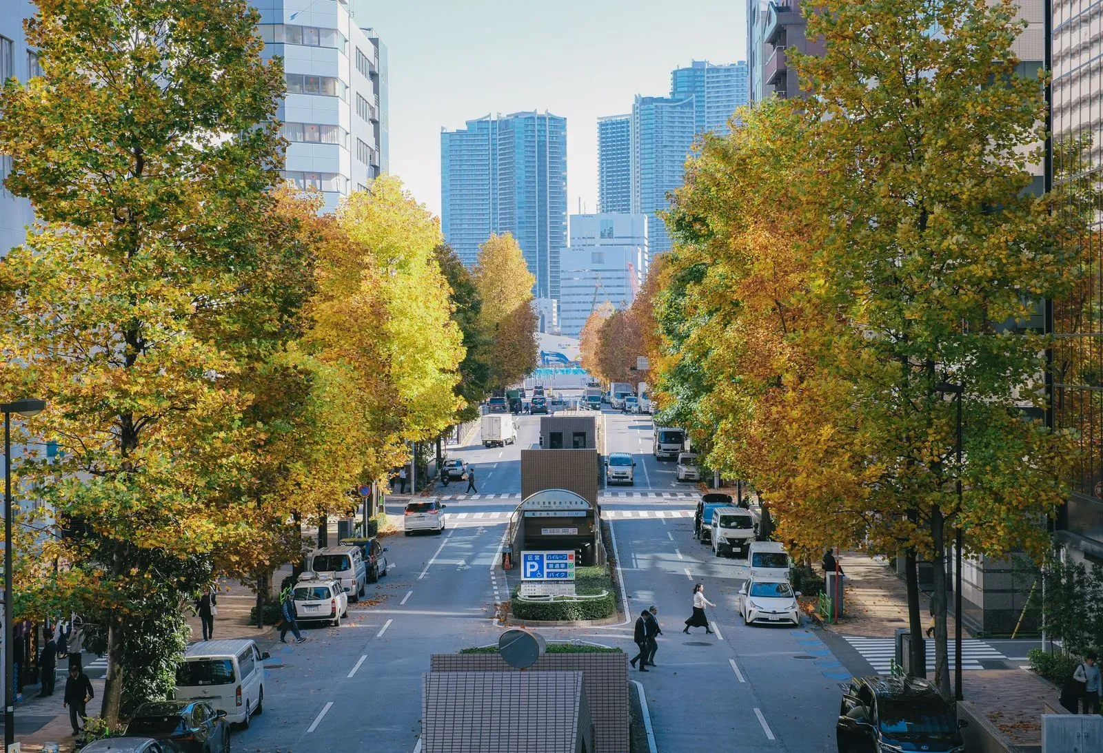 Tokyo Events November 2026: Festivals, Foliage & Lights