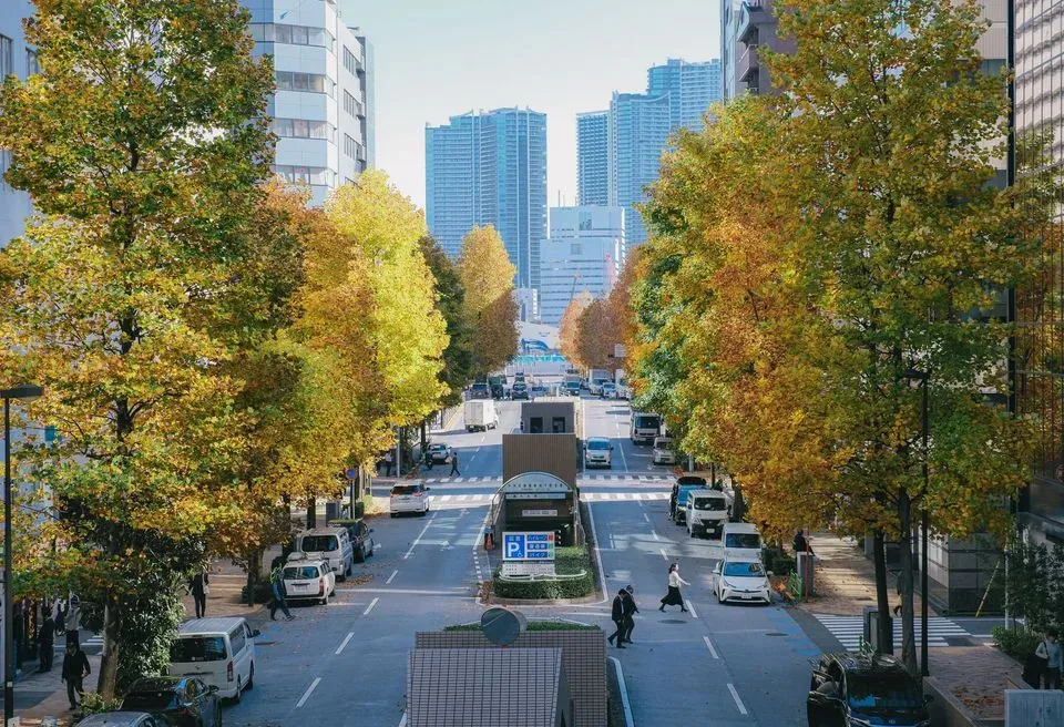 Tokyo Events November 2026: Festivals, Foliage & Lights