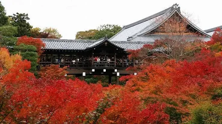 Tōfuku-ji Temple, Kyoto