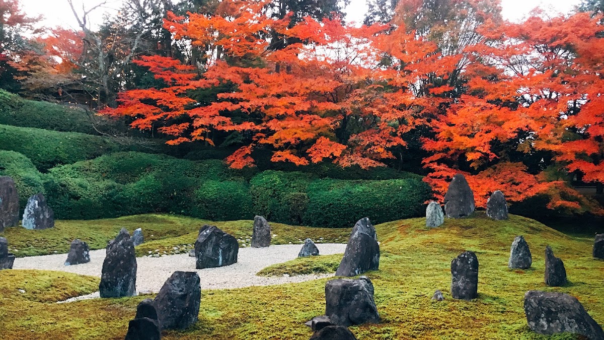 Hidden Gems in Kyoto: 12 Quiet Spots Away from Crowds