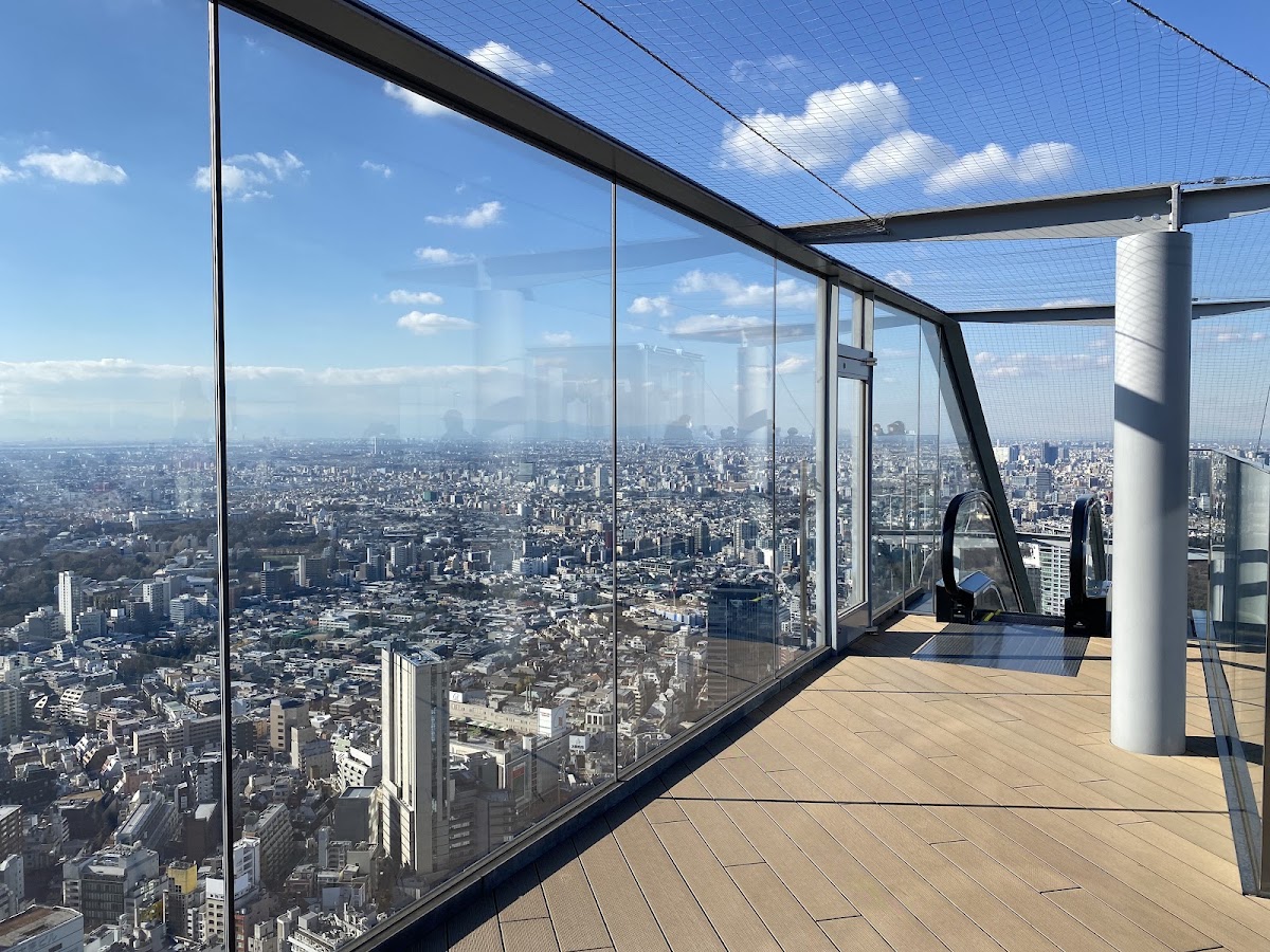 Things to Do Near Shibuya Crossing: 16 Spots Past the Scramble