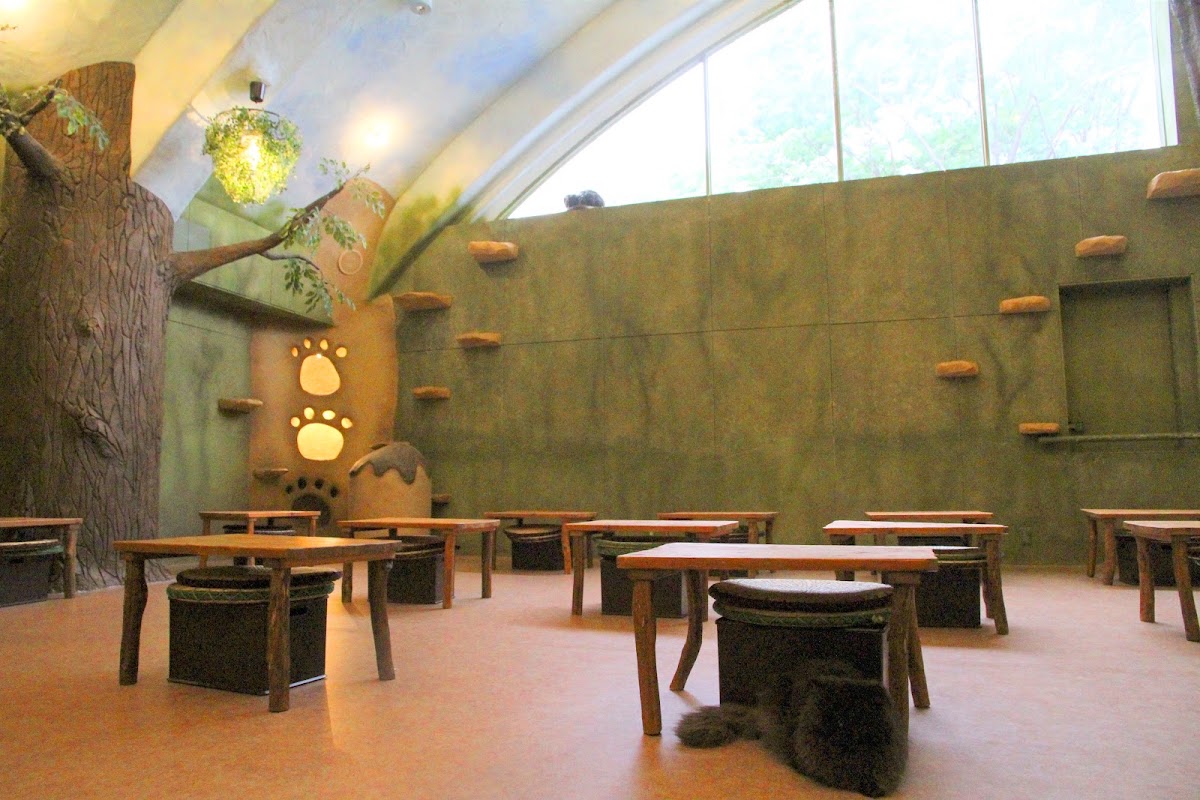 Cat Cafe Temari no Oshiro