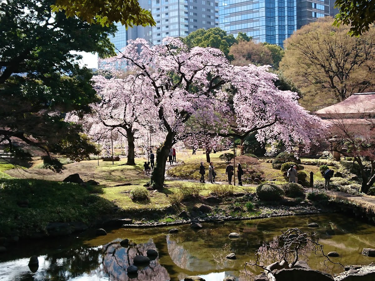 Koishikawa Korakuen Gardens, Osaka