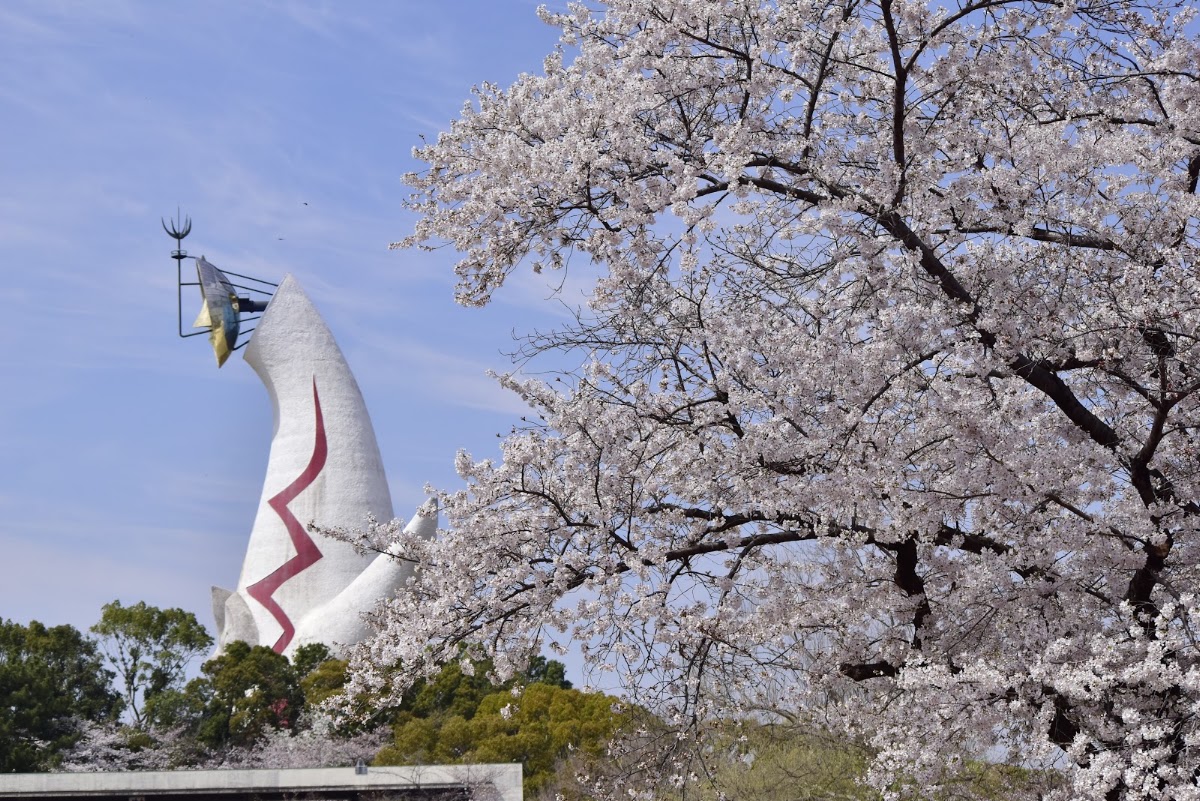 Expo '70 Commemorative Park Summer Festival