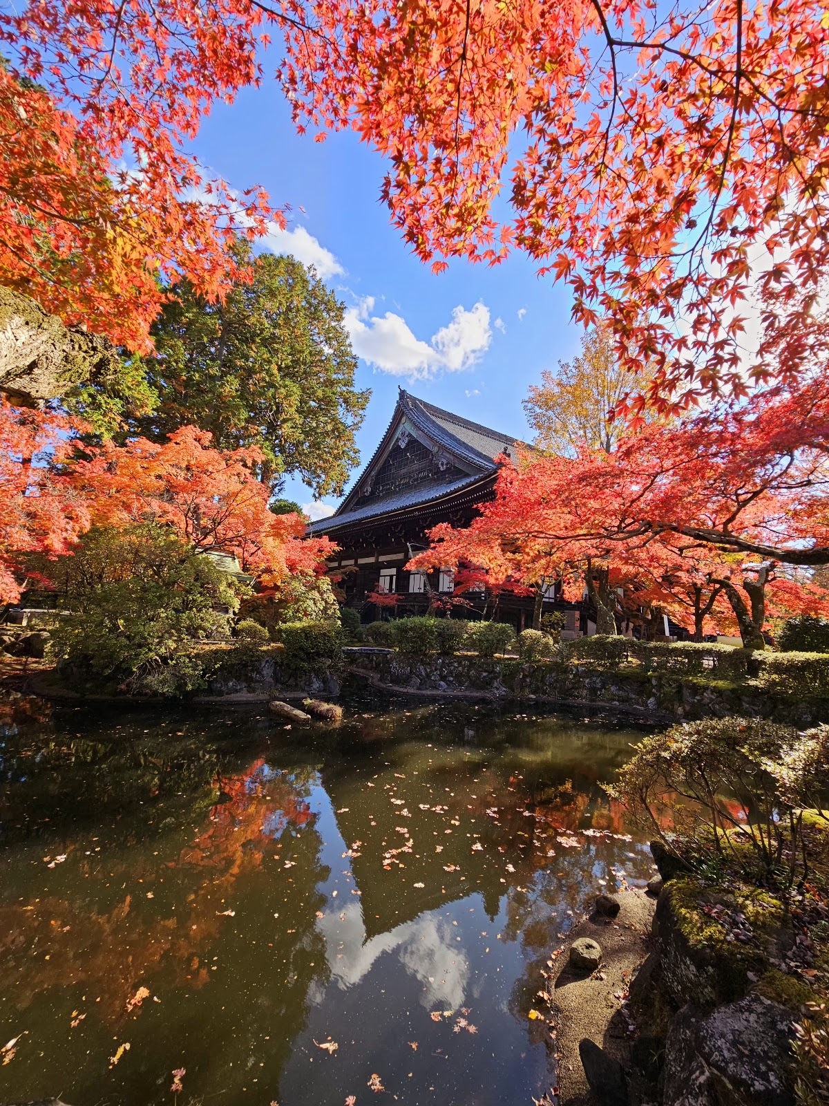Shinshō Gokurakuji (Shinnyodō) Temple, Kyoto