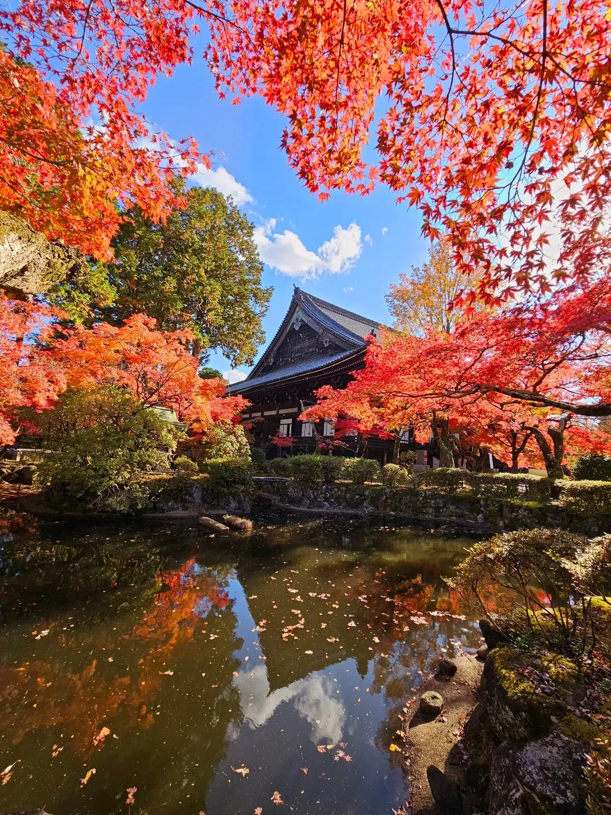 Shinshō Gokurakuji (Shinnyodō) Temple, Kyoto