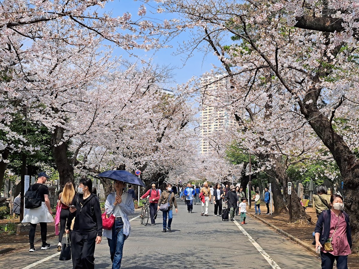Yanaka Cemetery
