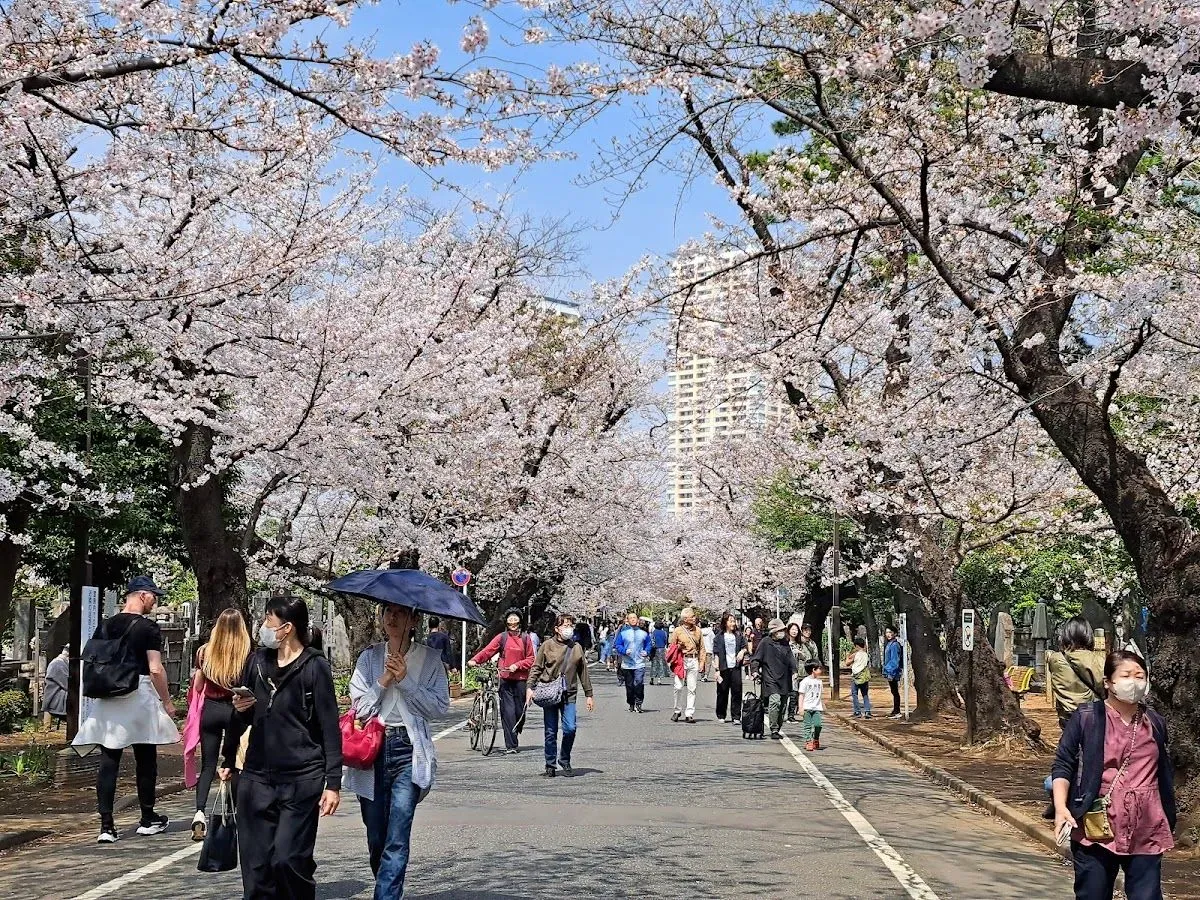 Yanaka Cemetery