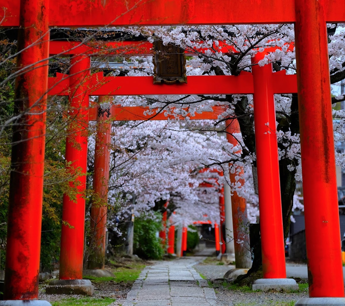 Takenaka Inari Shrine, Kyoto