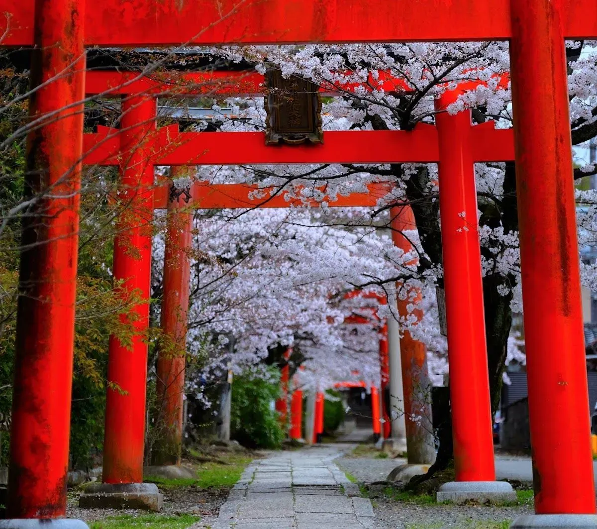 Takenaka Inari Shrine, Kyoto