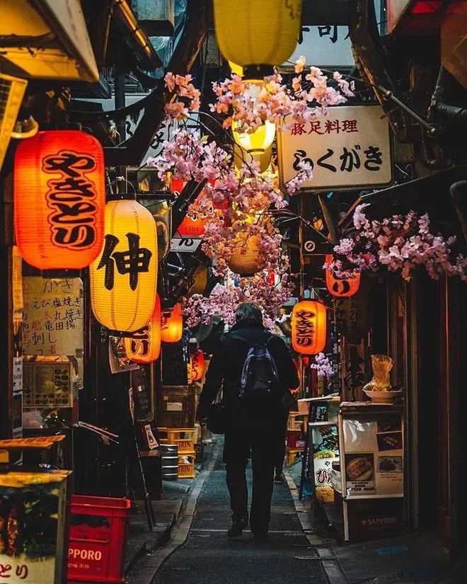 Omoide Yokocho Memory Lane
