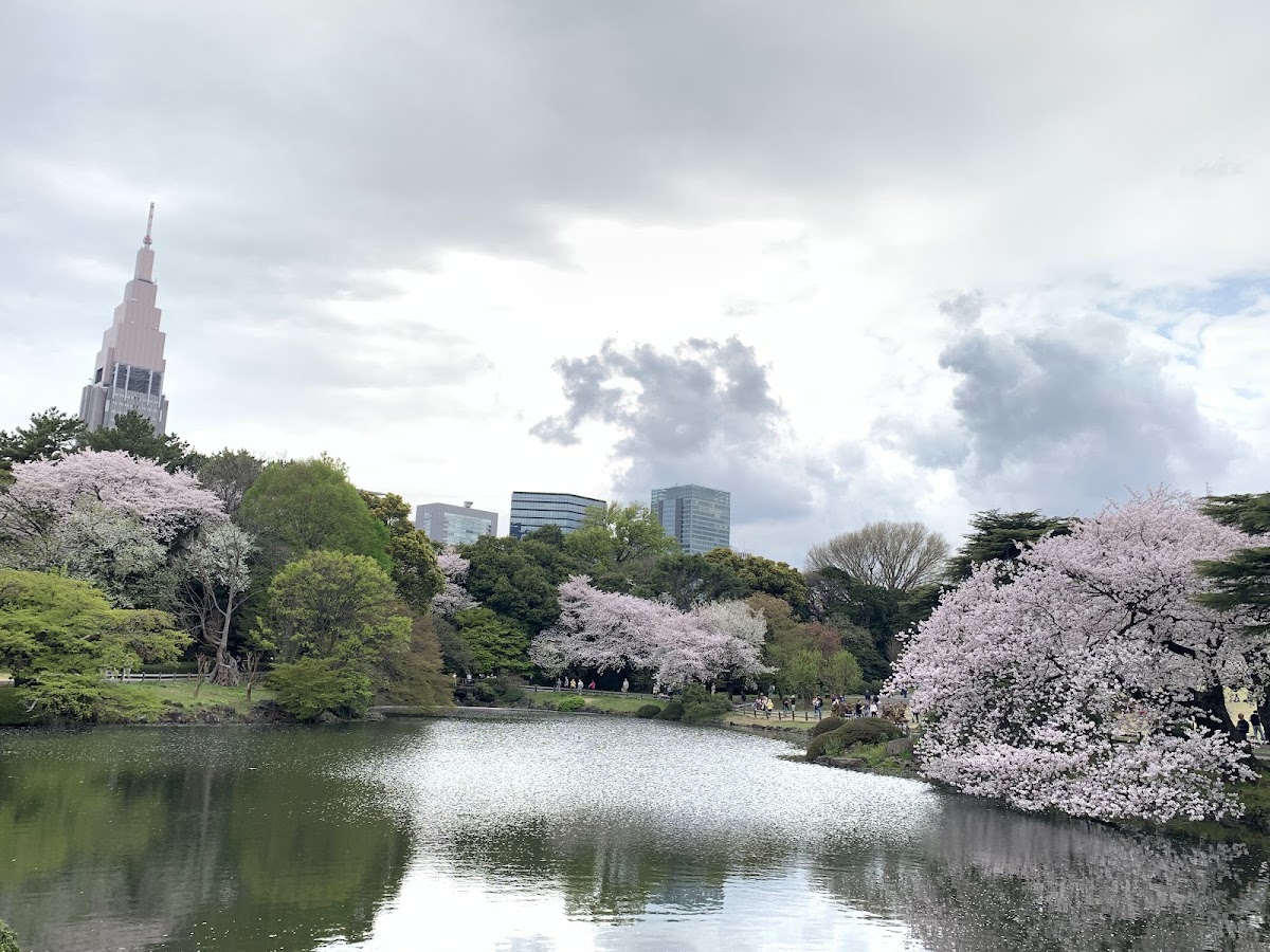 Shinjuku Gyoen National Garden, Osaka