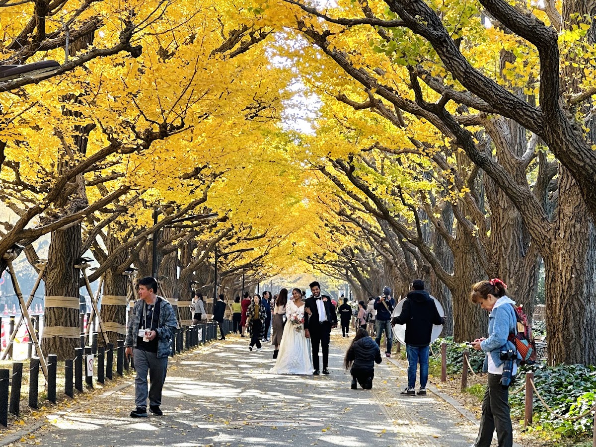 Autumn in Tokyo: 10 Things to Do in October and November