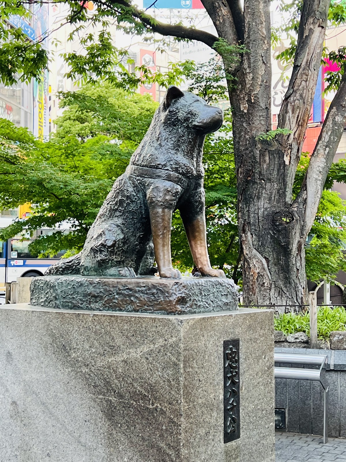 Hachiko Statue, Tokyo