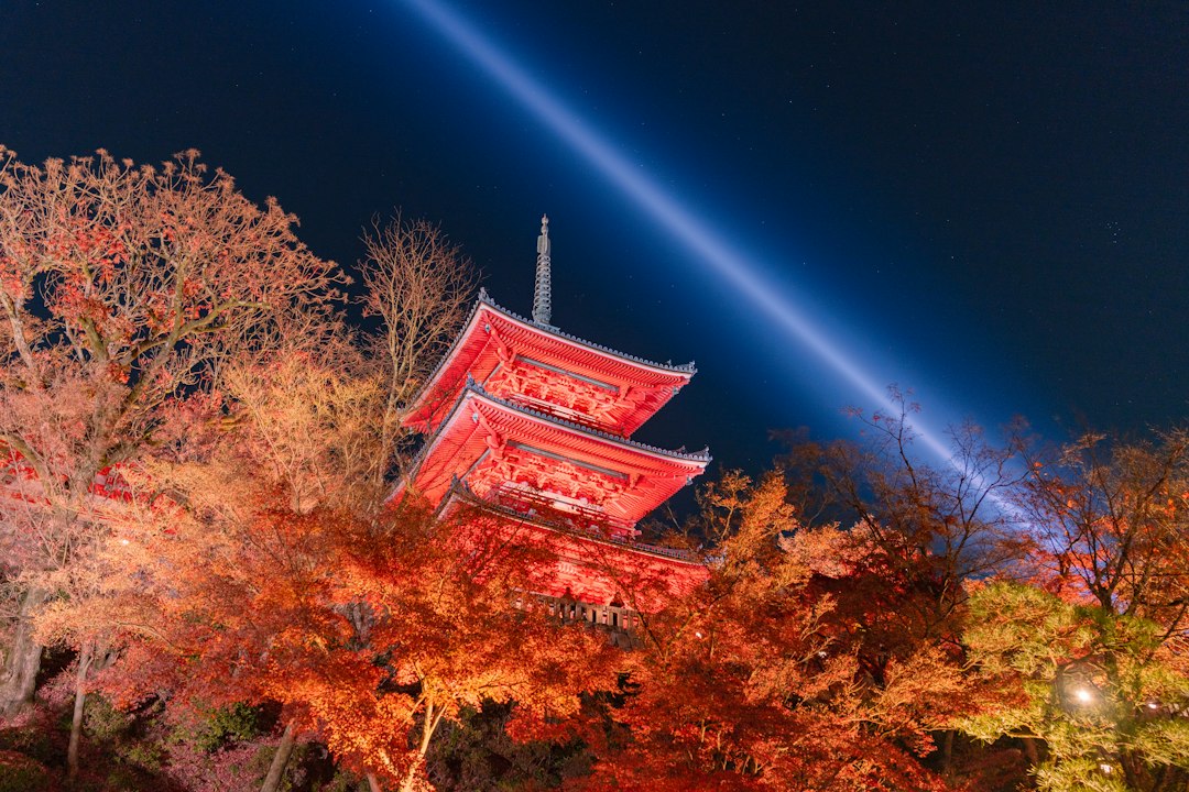 Events and Festivals in Kyoto: November 2026 Travel Guide
