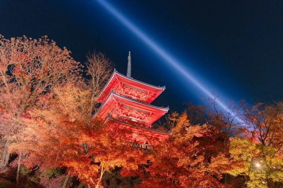 Events and Festivals in Kyoto: November 2026 Travel Guide