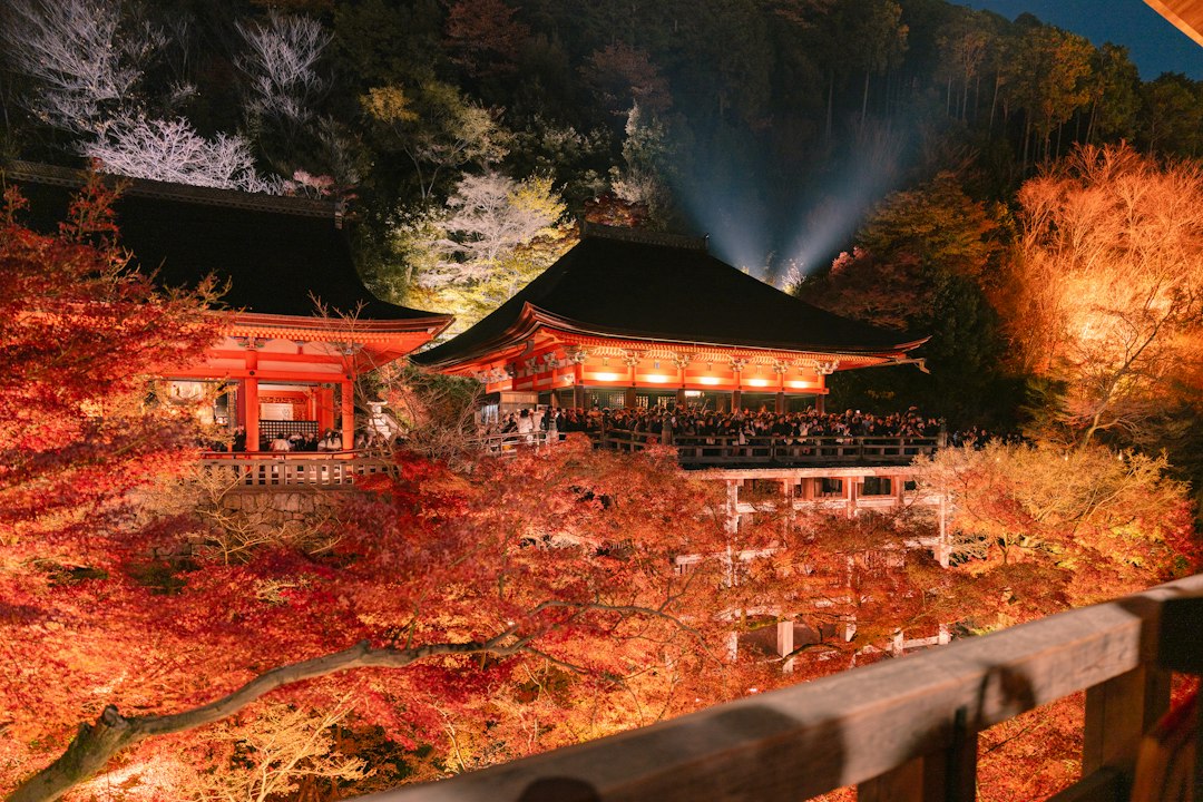 Kyoto autumn maple foliage temple night