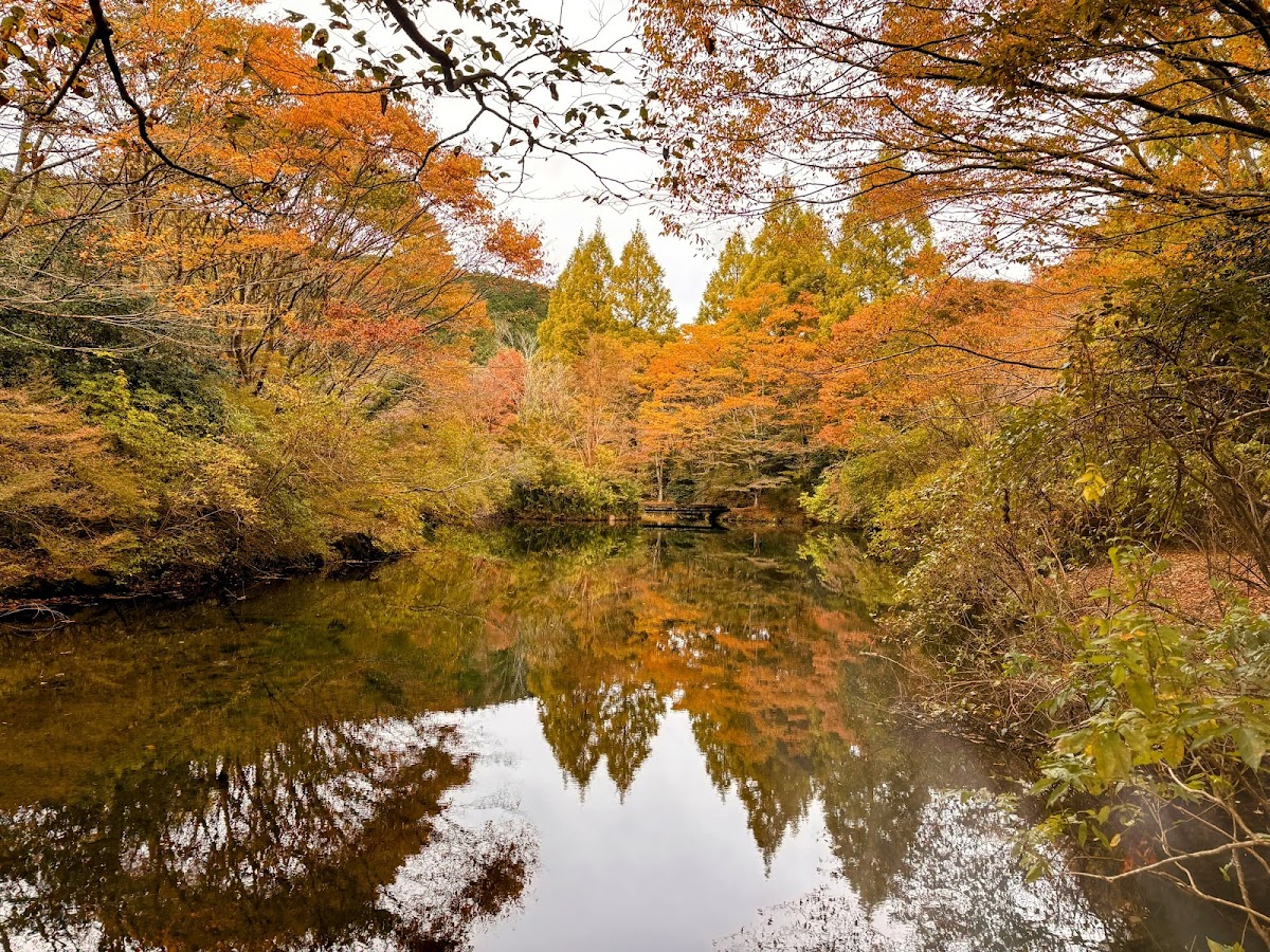 Genseinomori Park