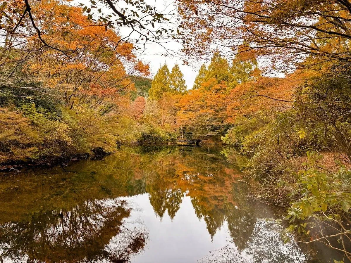 Genseinomori Park