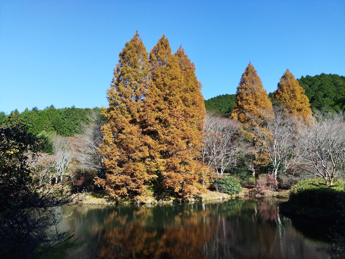 Genseinomori Park 2