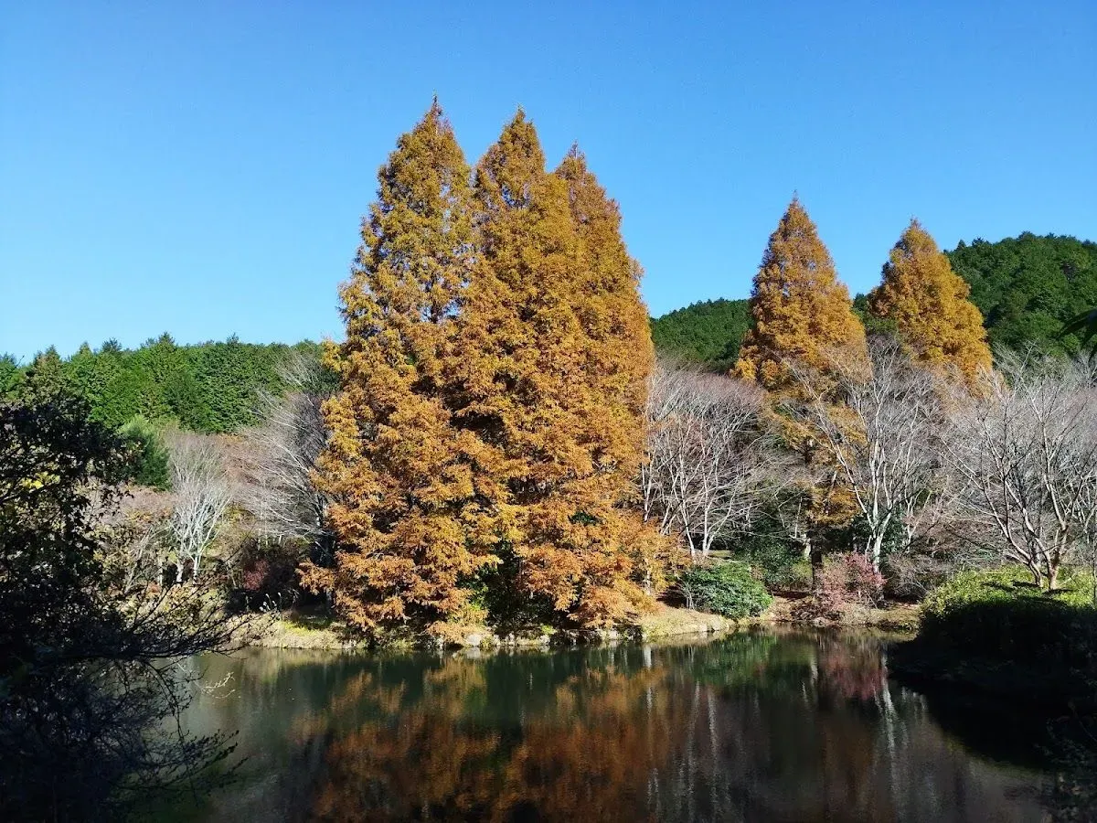Genseinomori Park 2