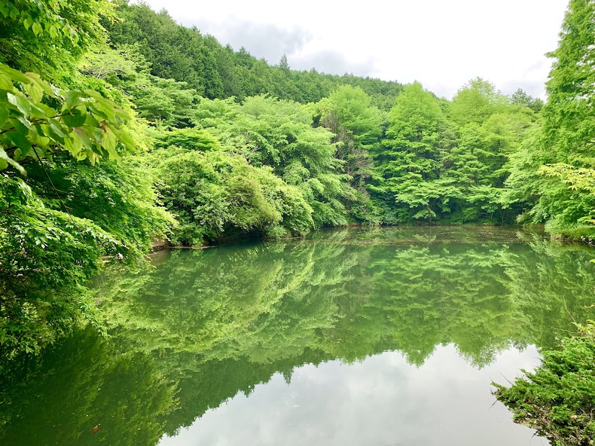 Genseinomori Park 3