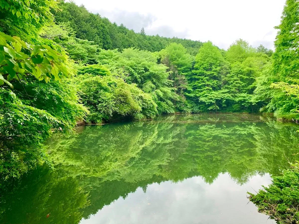 Genseinomori Park 3
