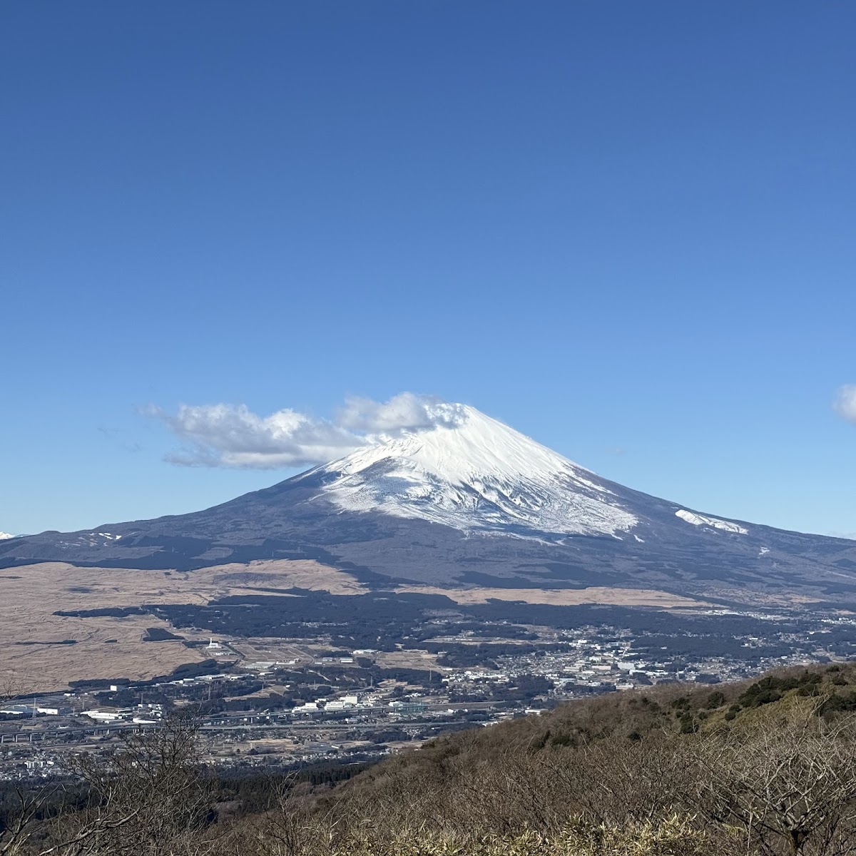 Fujimigaoka Park