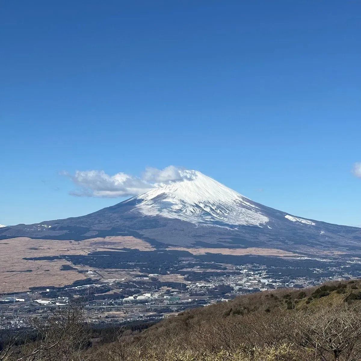 Fujimigaoka Park