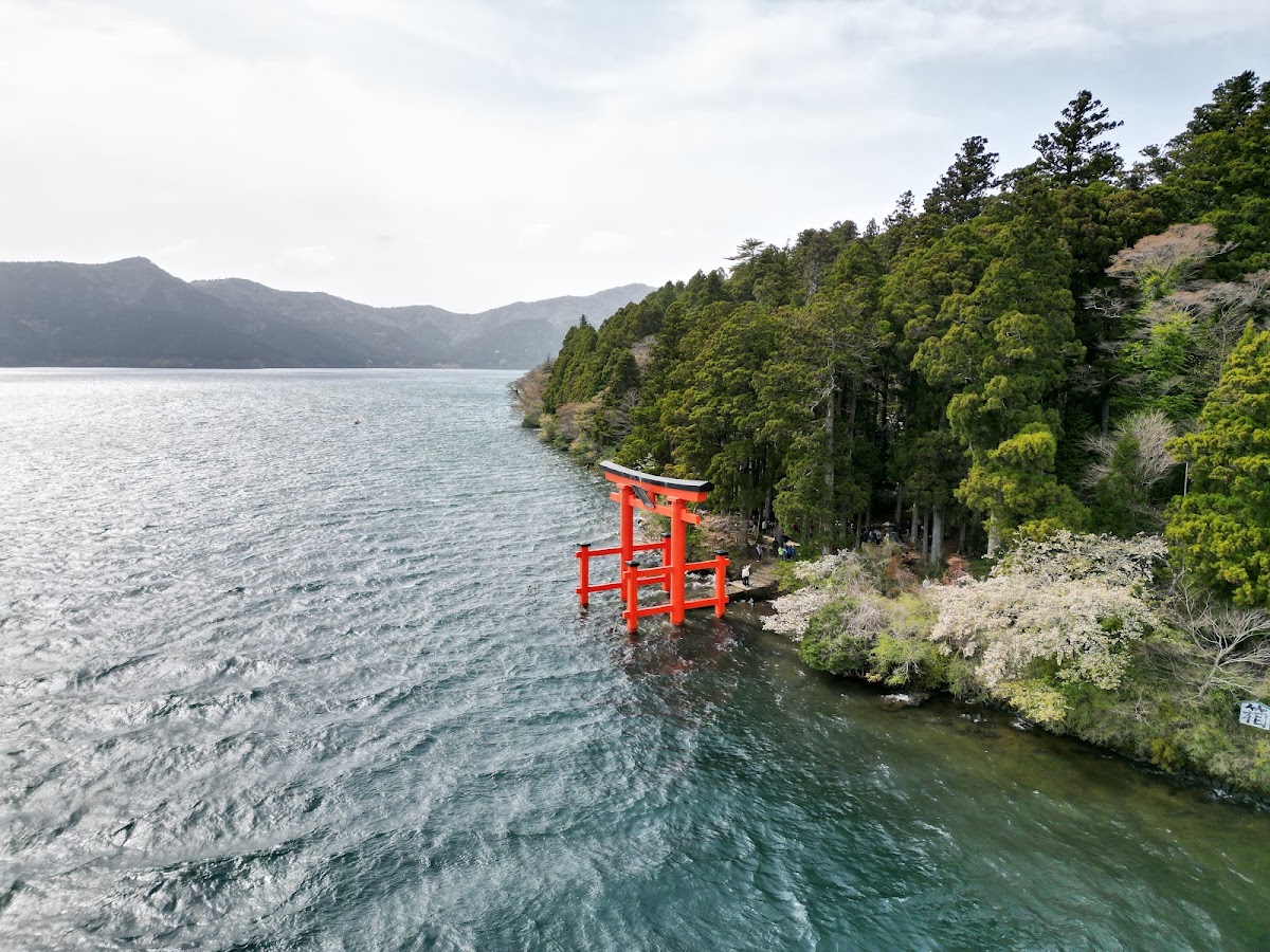 Hakone Shrine 1st Torii Gate 2