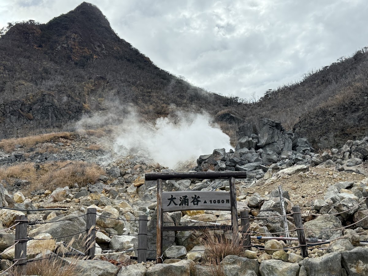 Owakudani Nature Research Trail