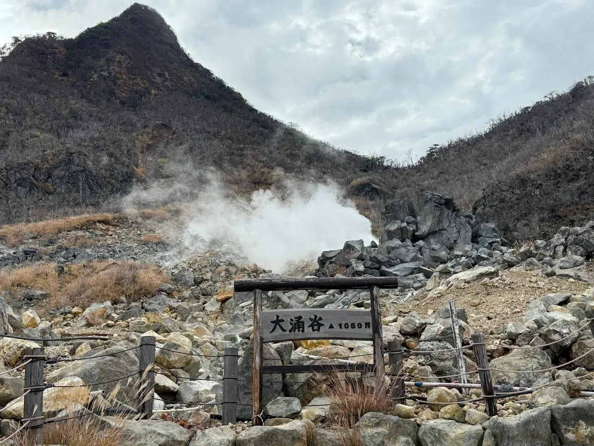 Owakudani Nature Research Trail