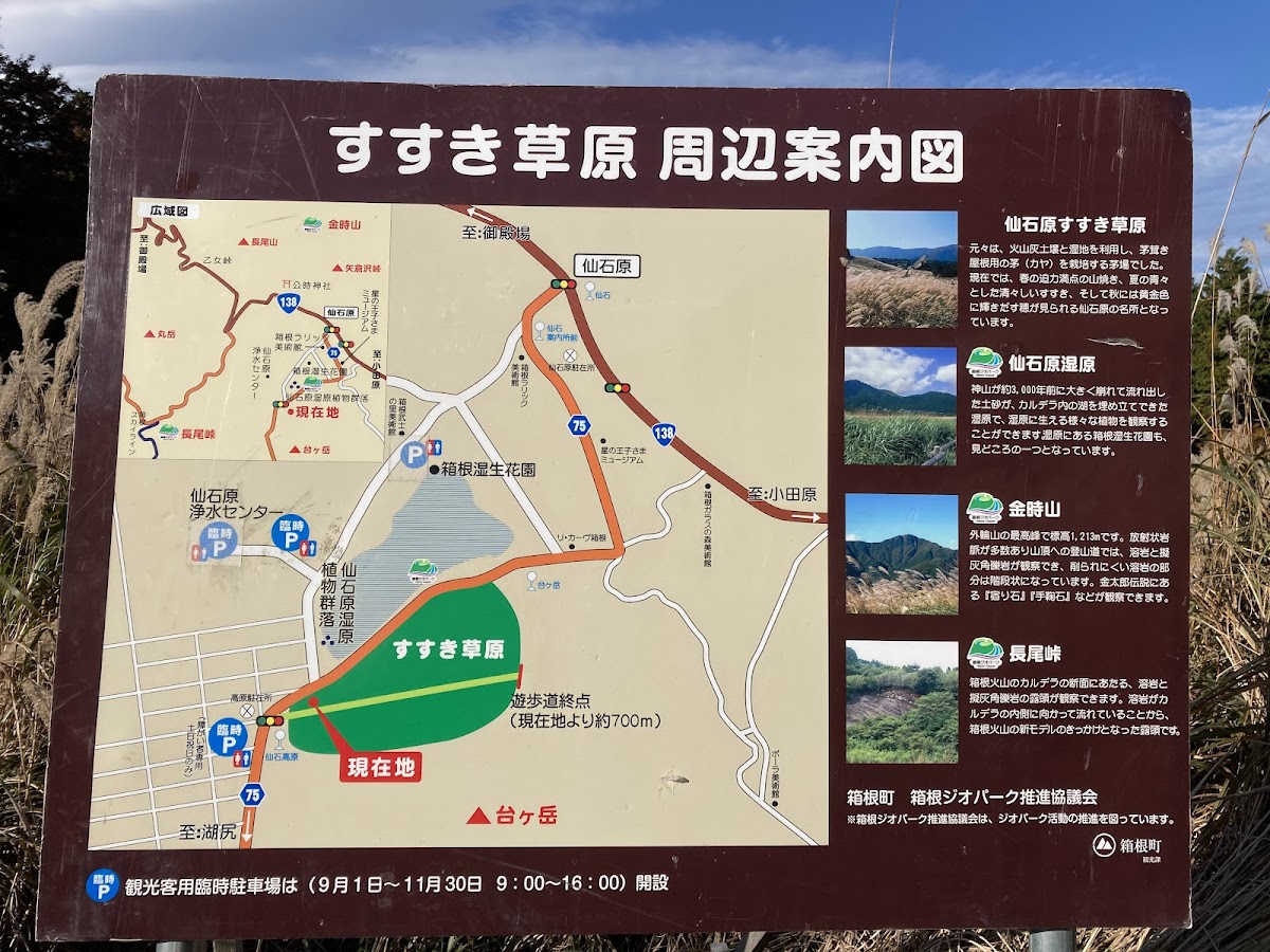 Sengokuhara Susuki Grass Fields 3