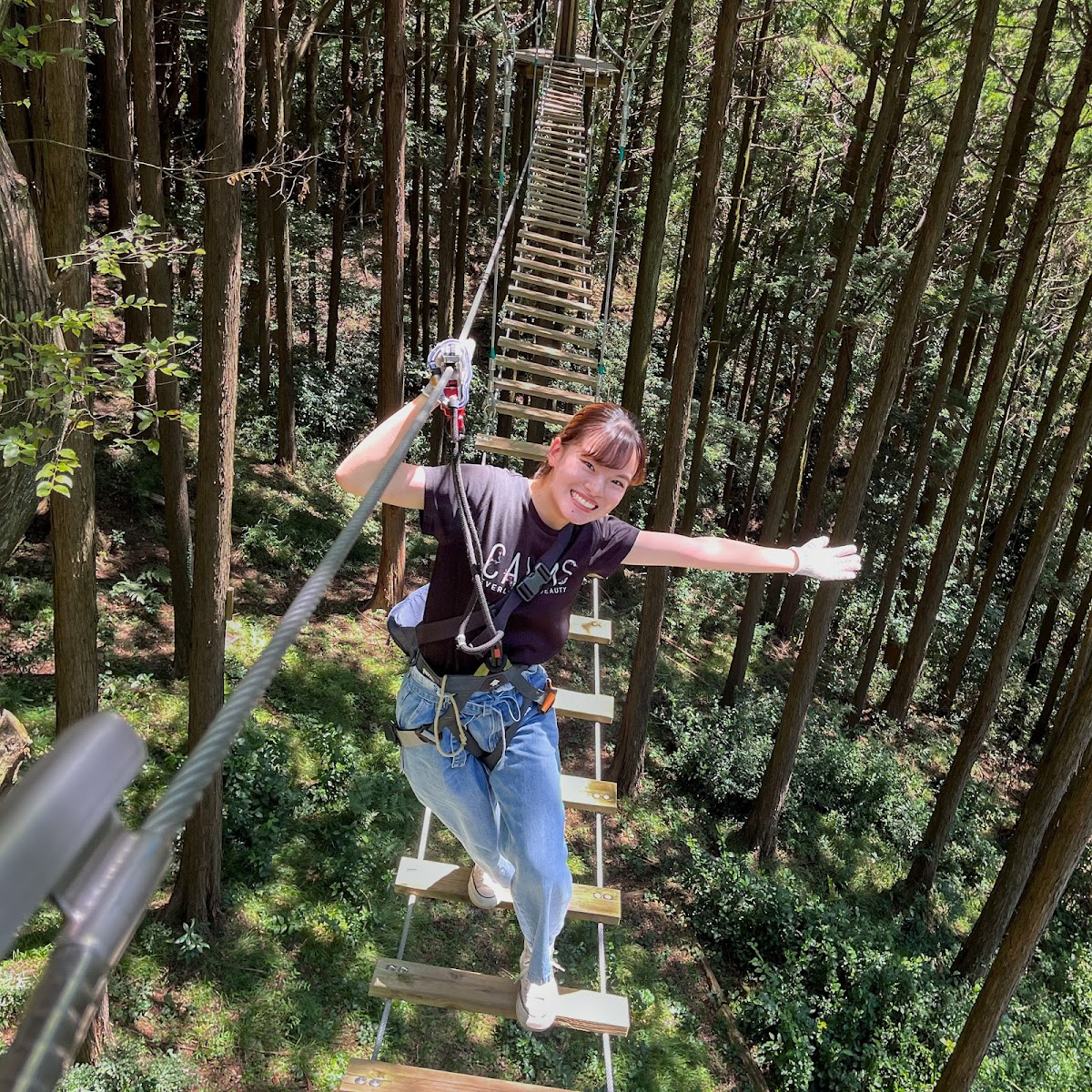 Forest Adventure Hakone