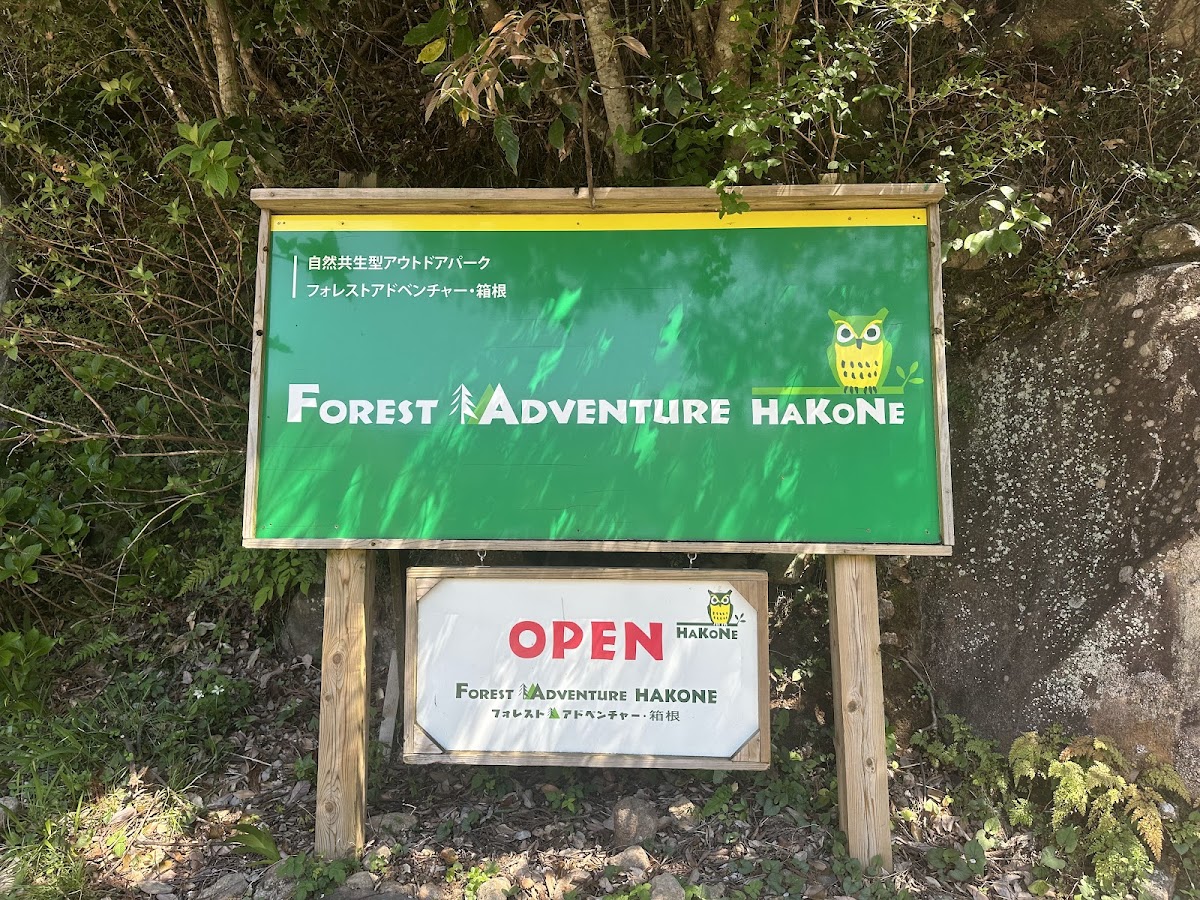 Forest Adventure Hakone 2