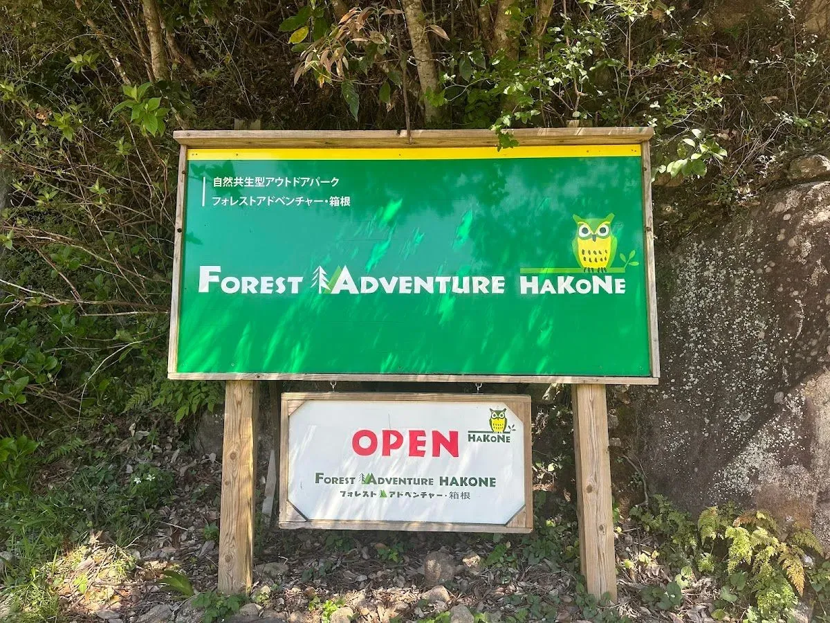 Forest Adventure Hakone 2