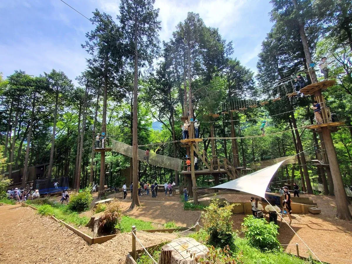 Forest Adventure Hakone 3