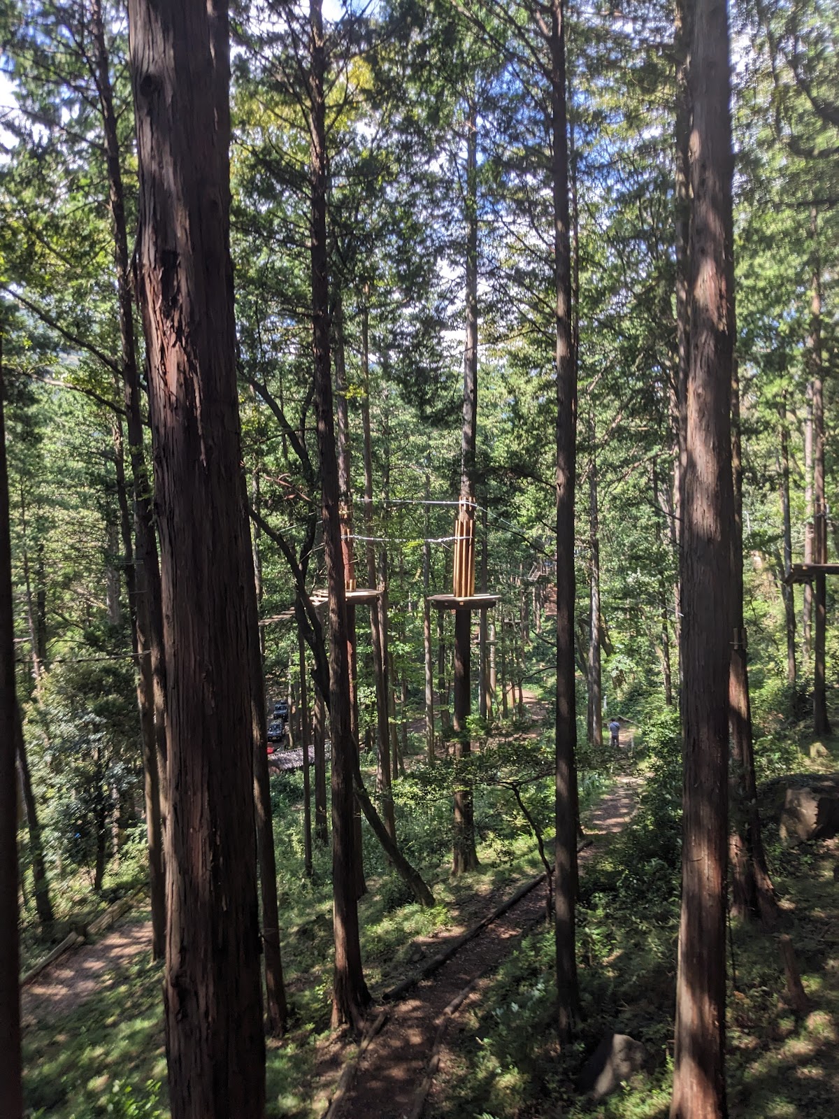 Forest Adventure Hakone 4
